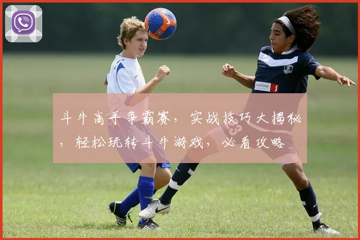 斗牛高手争霸赛，实战技巧大揭秘，轻松玩转斗牛游戏，必看攻略