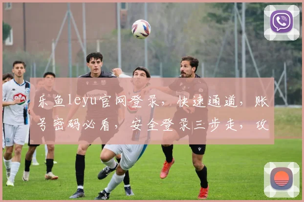 乐鱼leyu官网登录，快速通道，账号密码必看，安全登录三步走，攻略全解析