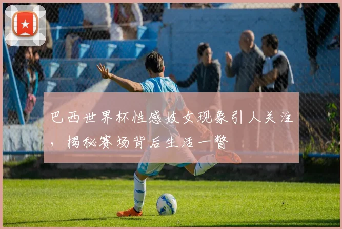 巴西世界杯性感妓女现象引人关注，揭秘赛场背后生活一瞥