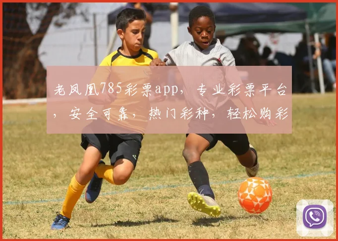 老凤凰785彩票app，专业彩票平台，安全可靠，热门彩种，轻松购彩，三重优惠，不容错过，快体验