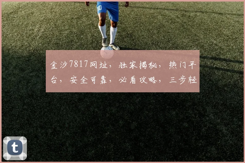 金沙7817网址，独家揭秘，热门平台，安全可靠，必看攻略，三步轻松登录