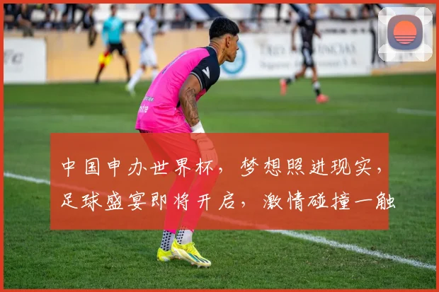 中国申办世界杯，梦想照进现实，足球盛宴即将开启，激情碰撞一触即发，共赴狂欢之旅