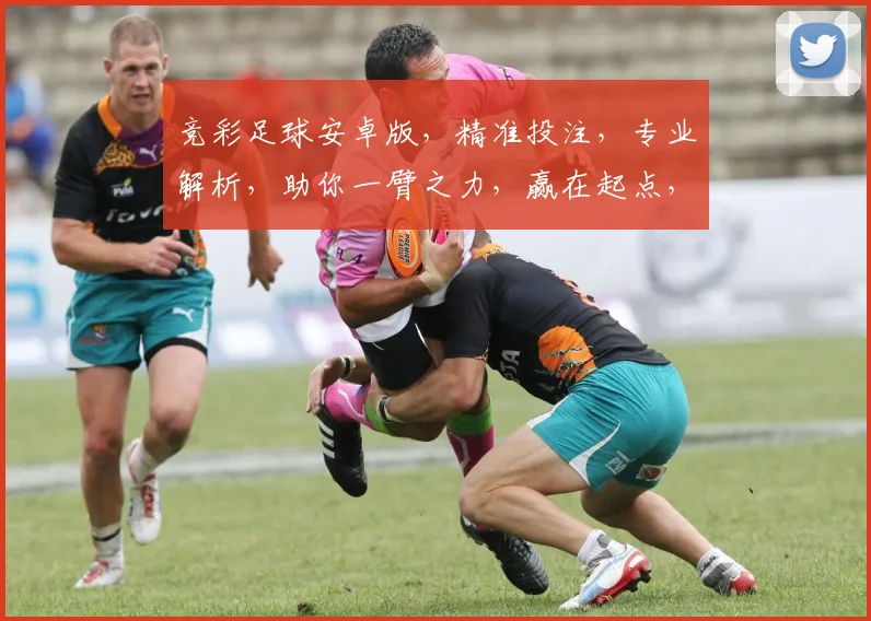 竞彩足球安卓版，精准投注，专业解析，助你一臂之力，赢在起点，笑傲绿茵场